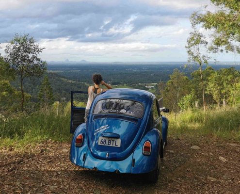 EV_Beetle_Glasshouse