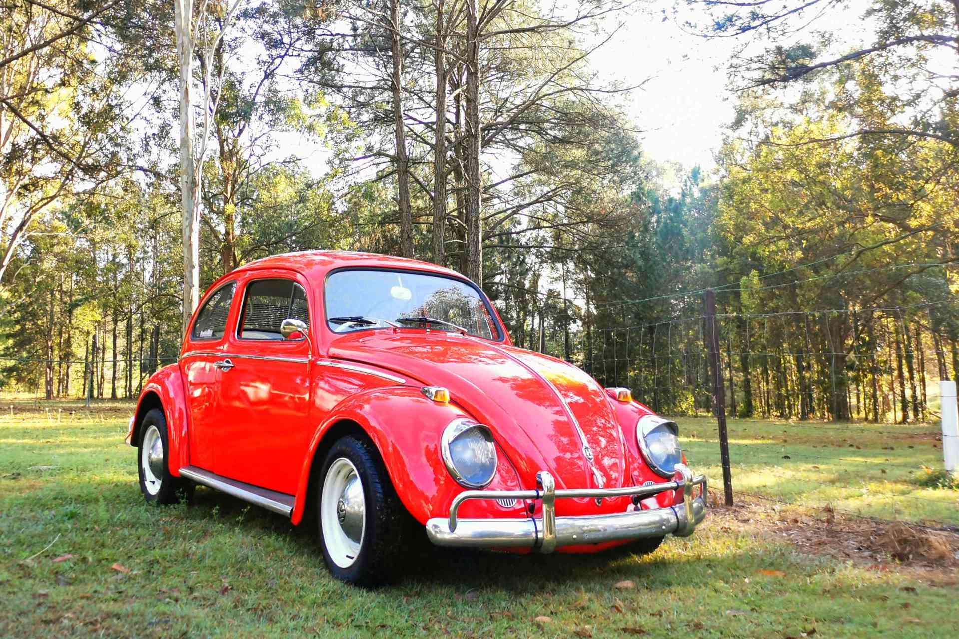 The shiny red electric 1964 VW Beetle